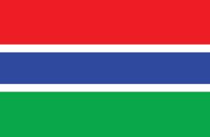 Gambia Flag Image