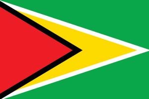 Guyana Flag Image