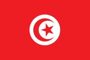 Tunisia Flag Image