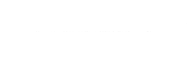 Pioneer Logo Reverse White