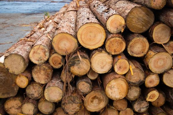 Shipping Lumber via Conestogas